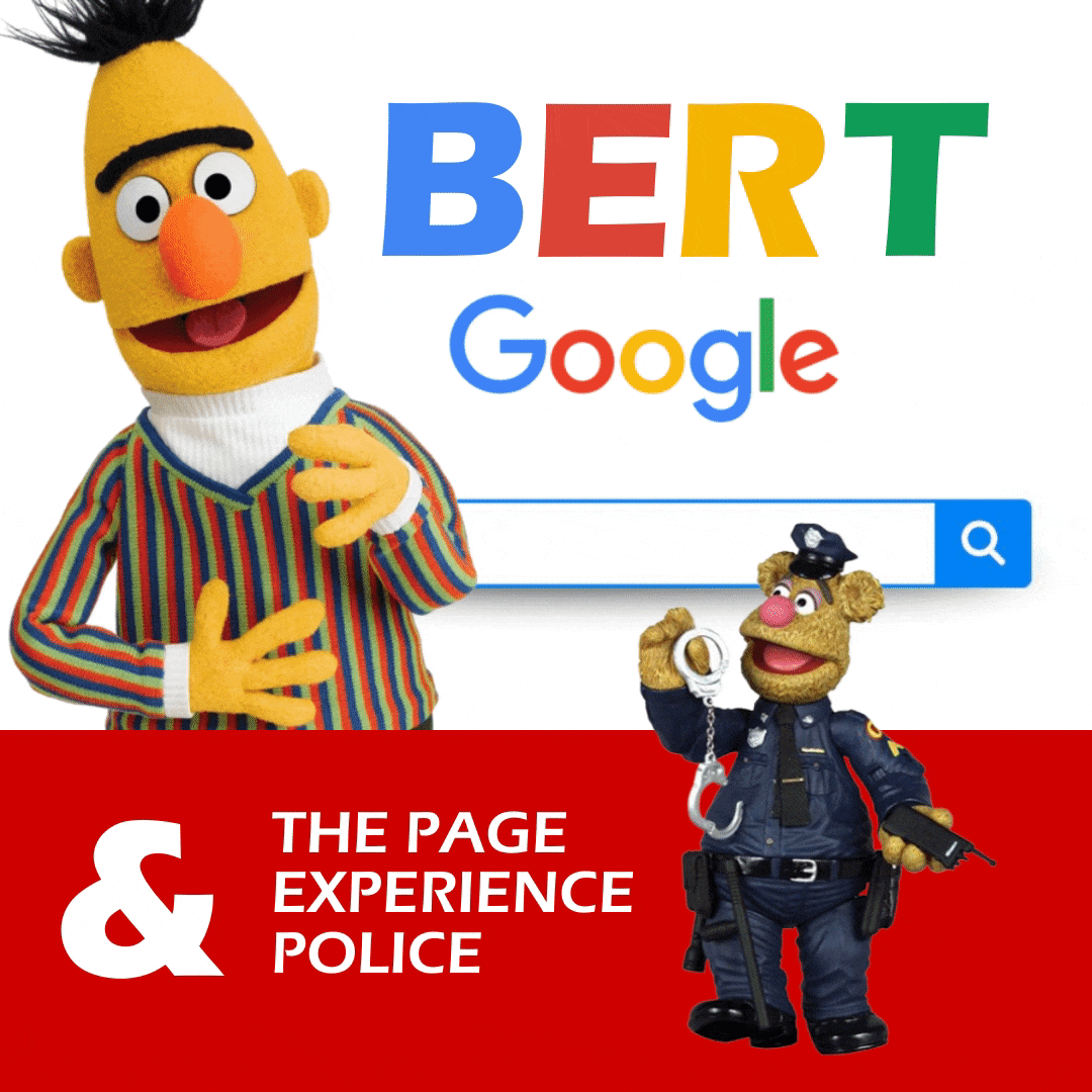 Google’s BERT & The Page Experience Update Police