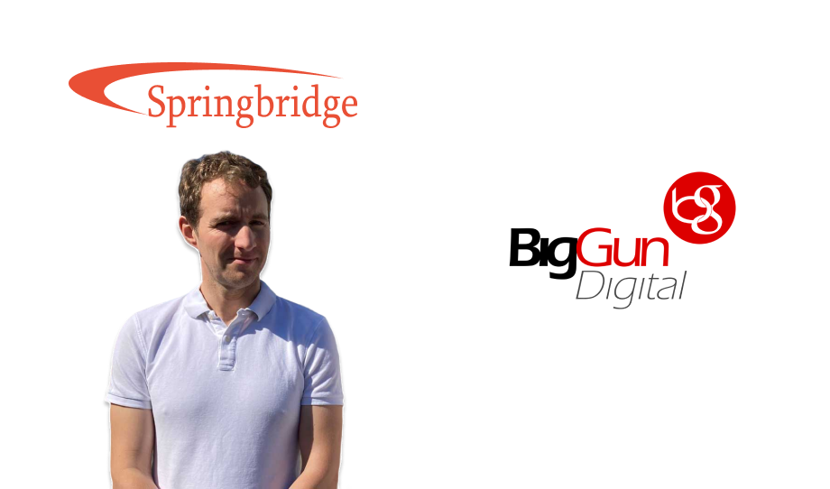 Springbridge Case Study