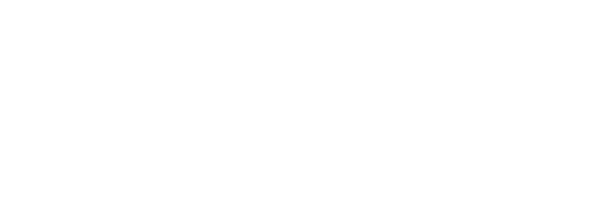 varonis logo