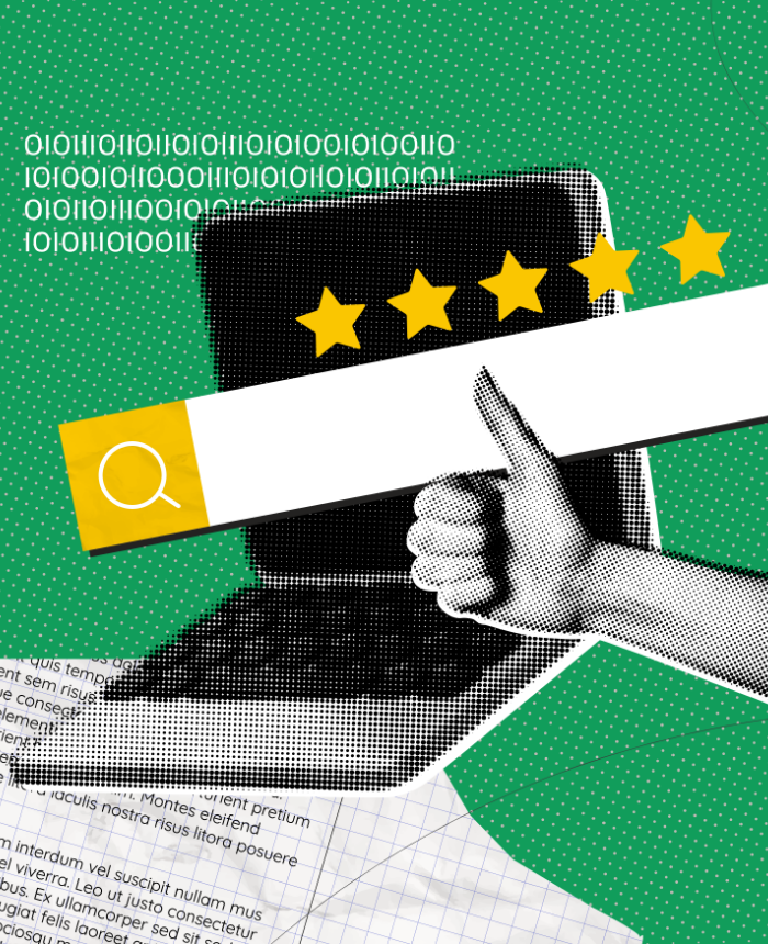 Structured Data & Trust Signals